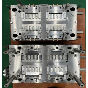 Multi cavity precision mold ibi-2