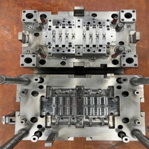 Multi cavity precision mold ibi-3